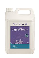 DigestSea