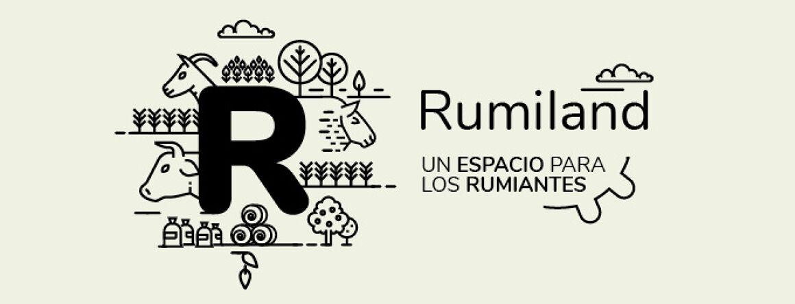 Rumiland podcast